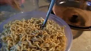 Home Made: Ramen and mealworms.