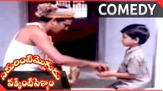 Edurinti Mogudu Pakkinti Pellam Movie ||  Baladitya Brilliant ideas to Rajendraprasad Comedy Scene