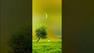watch 4k video on youtube#4K HD video #song #love #music #hindisong  #4K HD video