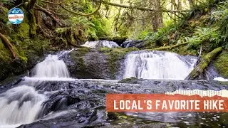 How to Hike Ludlow Falls Interpretive Trail in Port Ludlow, Washington