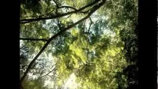 Edgar Malebrán - Los Novios