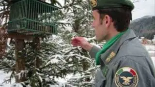 Tributo al Corpo Forestale dello Stato e Inno