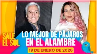 ¿Frida Sofía regresa a México para entrar a LCDLF? Lo mejor de Pájaros 19/01/25 Sale el Sol