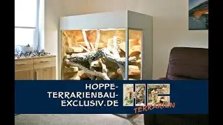 Steppenterrarium f&uuml;r einen Stachelschwanzwaran
