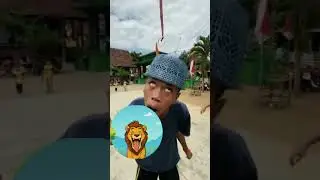 funny video 🤣🤣🤣  #lion #relax #reaction