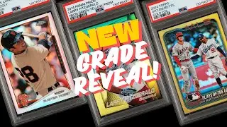 If Only All My Cards Could Be Ohtani Golds...20 Card PSA Grade Reveal