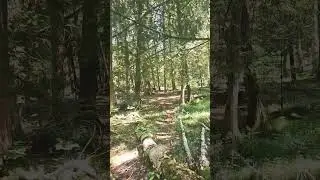 Maggie Makes A Run For The River.