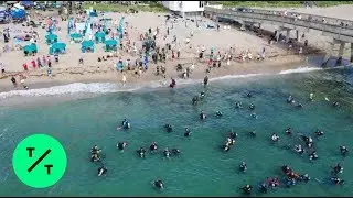 Florida Divers Set Guinness World Record for Largest Ocean Floor Cleanup