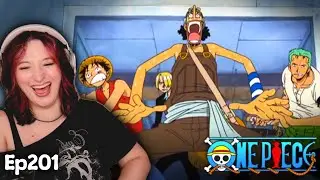 Finding Mary in G8 || One Piece Episode 201