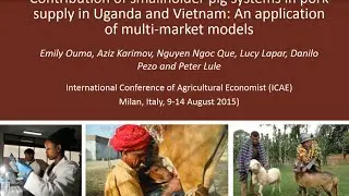 Contribution of smallholder pig systems in pork supply in Uganda and Vietnam