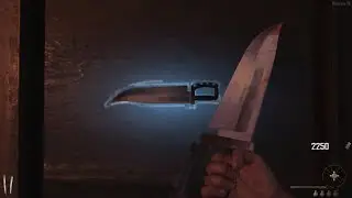 All BO2 zombies maps knife challange.