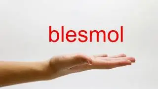 How to Pronounce blesmol - American English