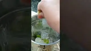 refreshing energetic summer health drink tat gole sharbat#summerrecipe