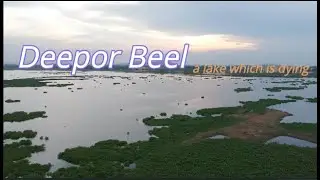 Deepor Beel Lake of Guwahati - A Lake in Danger @DreamFishProductions