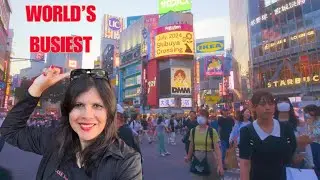 Tokyo Travel: Asakusa to Shibuya Scramble Crossing - World's Busiest (Dusk to Night)