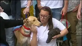 Informativo Granada al Dia- TG7 100517