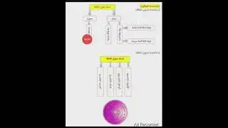 #الثالثة_متوسط مراجعة شاملة لميدان الطاقة مع امثلة 