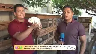 Porquinhos da índia na televisão! Essa foi nossa primeira participação em um canal de TV.