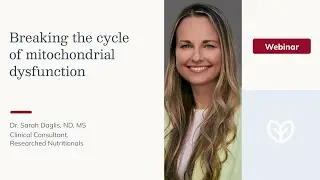 Breaking the Cycle of Mitochondrial Dysfunction