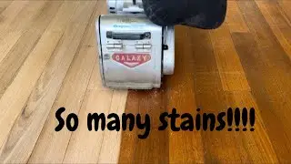 Satisfying workers doing their job | Restore BADLY stained hardwood floor | Sanding ASMR no talking