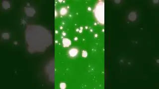 #shorts|flower rain short video|flower video|flower green screen#greenscreen