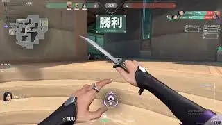 陽壽玩家