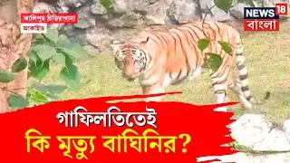 Kolkata News | ত্রুপ্তির মৃত্যুতে প্রশাসনিক গাফিলতি? চিড়িয়াখানা কর্তৃপক্ষের বিরুদ্ধে প্রশ্ন