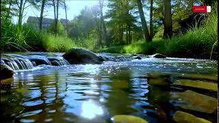 Quick Sleep Ease &mdash; Sunlit Forest River & Gentle Piano Music | 10 Hours