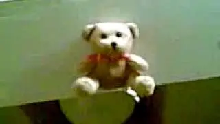 Ninja teddy bear