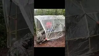 Survival Shelter in Heavy Rain #camping #survivalskills #adventure  #shorts