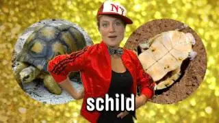 Waarom zijn schildpadden zo langzaam? | Het Klokhuis