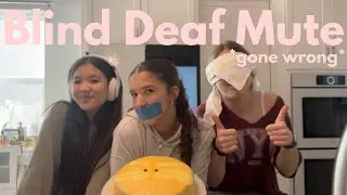 We did the blind, deaf, mute challenge (tested our friendship) | The Flamingoss