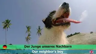 Learn German - Short German Story - with translate