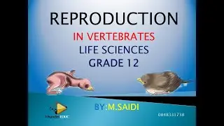 Reproduction in vertebrates grade 12 [GRADE 12 LIFE SCIENCES ] BY M.SAIDI