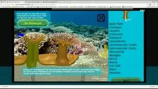 Coral Reef Ecology Curriculum Teacher Training