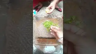 Deshi dhaniya ki chatani