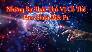 Những Sự Thật Th&uacute; Vị C&oacute; Thể Bạn Chưa Biết P1 || Sự Thật Th&uacute; Vị