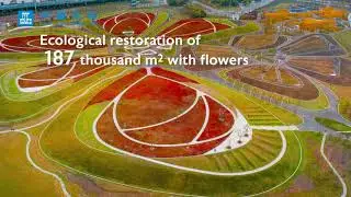 World Environment Day 2021