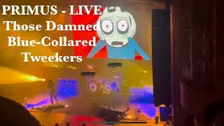 PRIMUS LIVE Those Damned Blue-Collar Tweekers #primus #lesclaypool #livemusic #rockconcert #concert