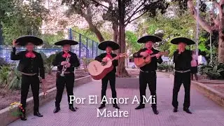 Serenata Día De Las Madres - Por El Amor A Mi Madre - Mariachis En Barranquilla