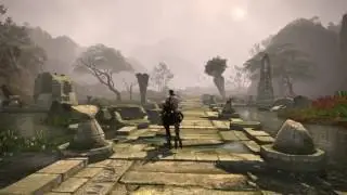 FFXIV HW The Black Chocobo is Dope