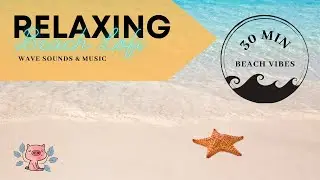LOFI BEACH VIBE / Your Virtual Escape / CHILL BEATS / WAVE SOUNDS / RELAXED MUSIC