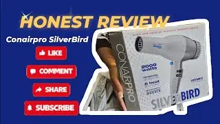 Honest Review of the CONAIRPRO Silver Bird Blow Dryer &ndash; Is It Worth It?