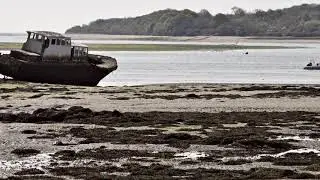 A Solitary Smile (emotional ambience)