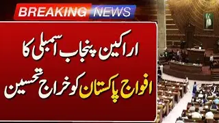 Members of Punjab Assembly's Tribute to Pakistan Army | Such News