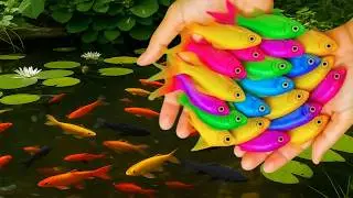 Ultimate Kid-Friendly Fishing Fails!