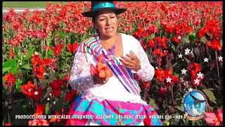 TINKA ONCCO --MAMALLAYSI ( PALOMITA DE LOS ANDES )