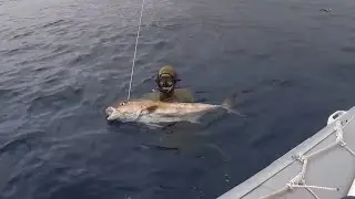 PESCA SUB en Canarias ‼️- Canary Island Spearfishing 🐟🇮🇨