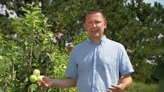 Eigenes Obst auch f&uuml;r Balkon und Terrasse
