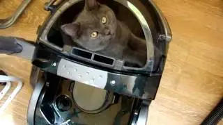 MOV04872.MPG